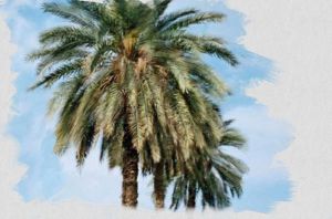 Salon d'Automne International France/Tunisie 2016